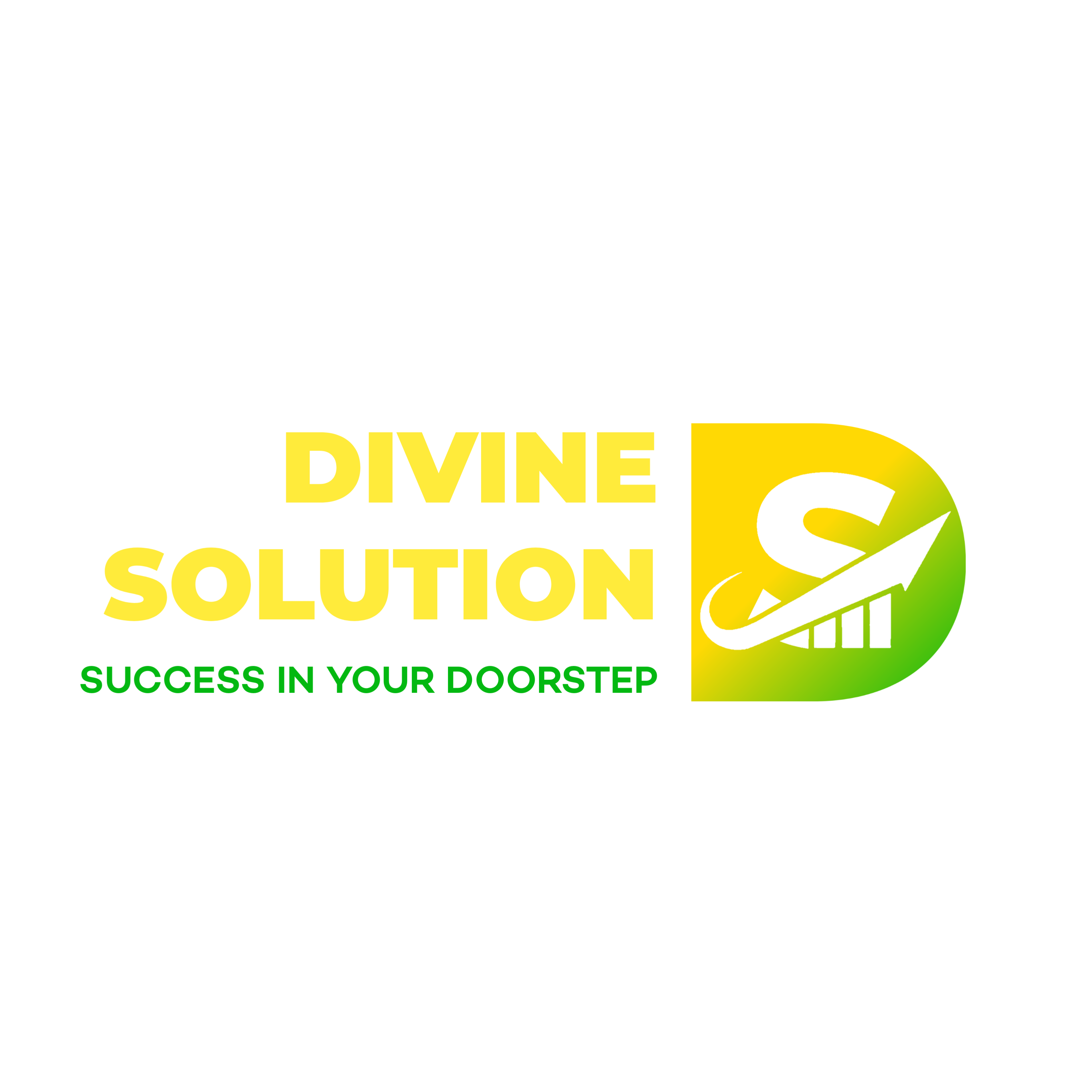 DS Logo